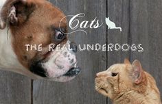 0ed1fc212ad095803a986e302b79cc28